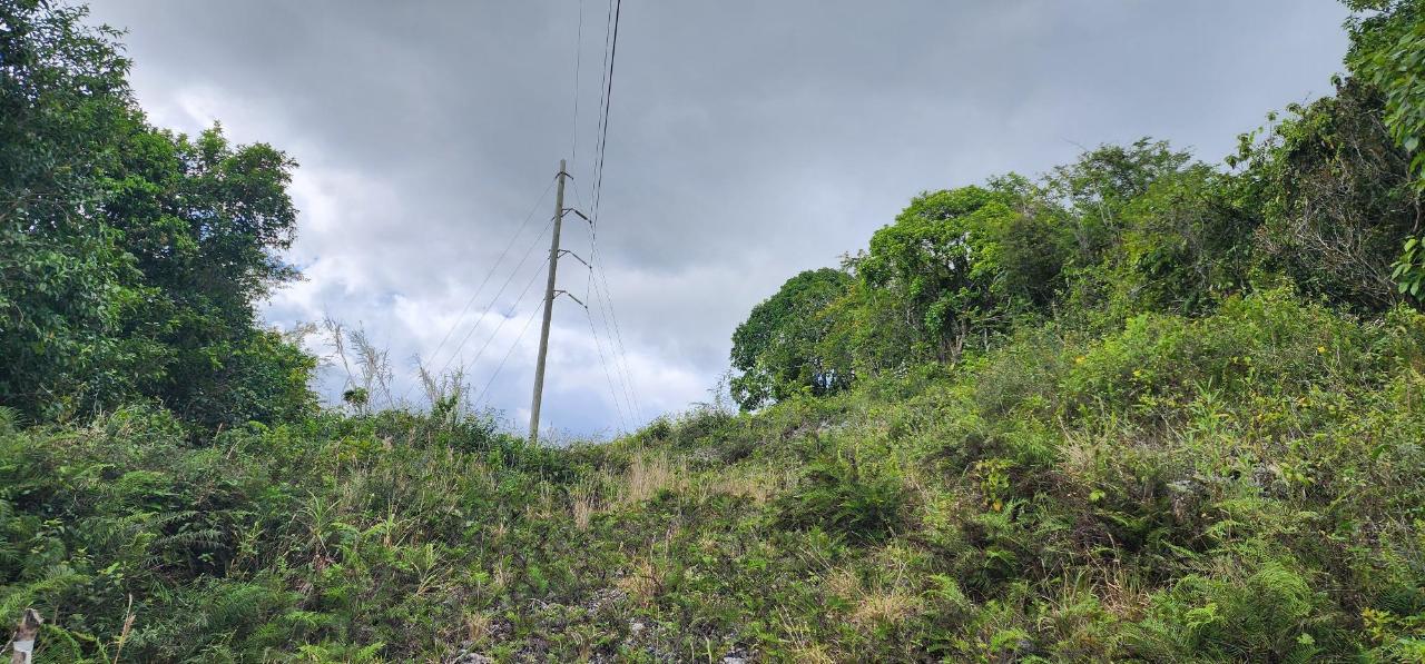 Residential-Lot-for-Sale-in-May-Day-Manchester-Jamaica Thirteenth image of May Day Plantation in May Day, Manchester, Jamaica - property is For Sale