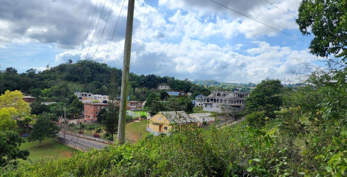 Fourteenth image of May Day Plantation in May Day, Manchester, Jamaica - property is For Sale