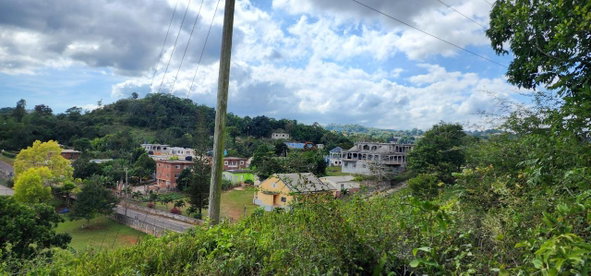 Fourteenth image of May Day Plantation in May Day, Manchester, Jamaica - property is For Sale