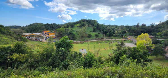 Fifteenth image of May Day Plantation in May Day, Manchester, Jamaica - property is For Sale