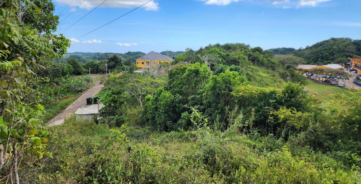 Sixteenth image of May Day Plantation in May Day, Manchester, Jamaica - property is For Sale