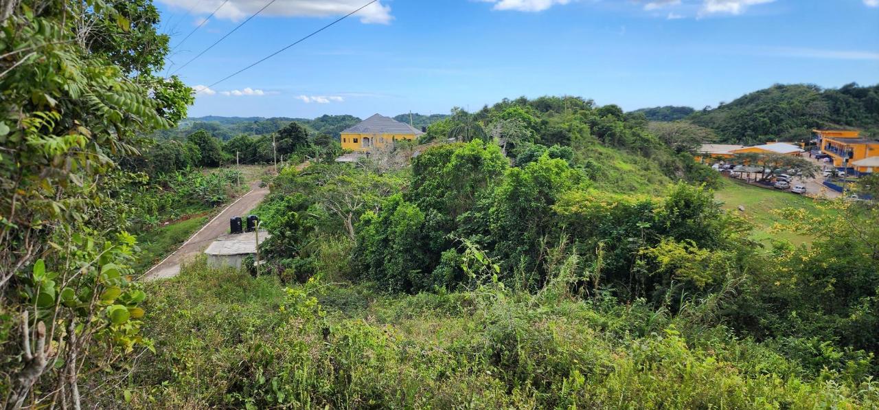 Residential-Lot-for-Sale-in-May-Day-Manchester-Jamaica Sixteenth image of May Day Plantation in May Day, Manchester, Jamaica - property is For Sale