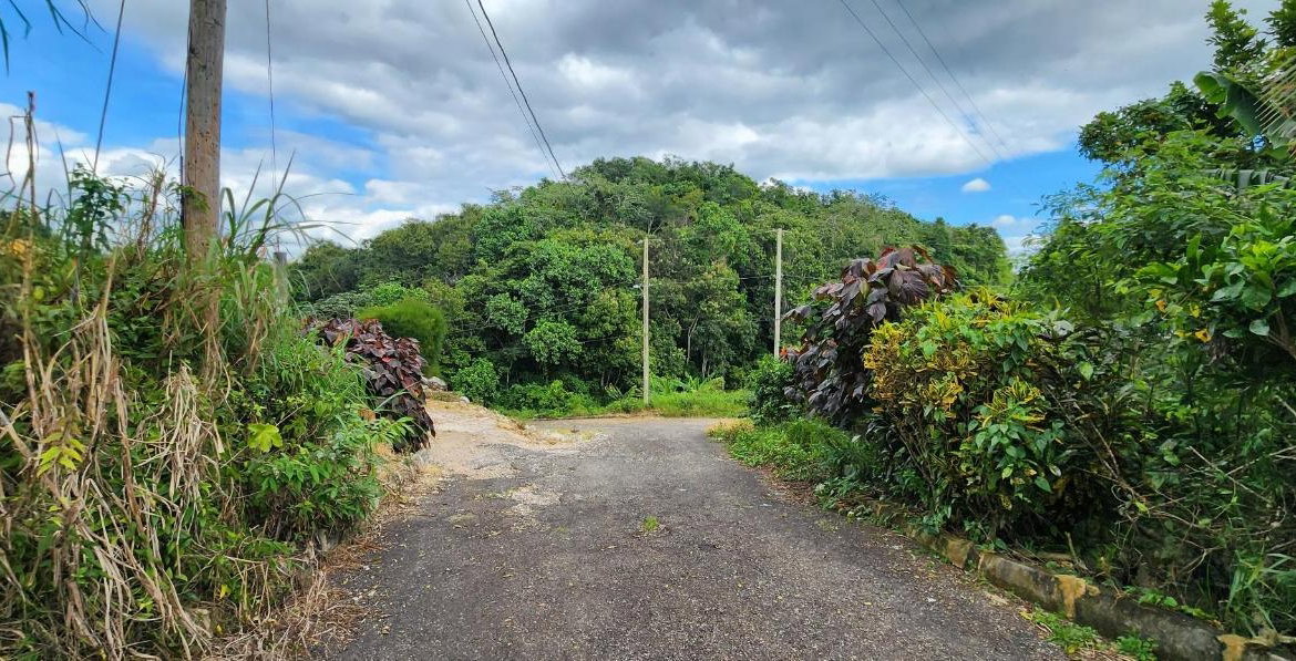 Seventeenth image of May Day Plantation in May Day, Manchester, Jamaica - property is For Sale