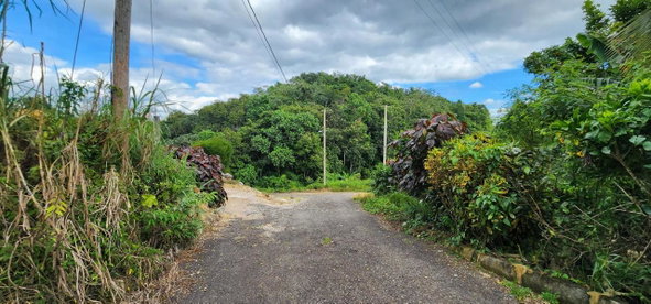 Seventeenth image of May Day Plantation in May Day, Manchester, Jamaica - property is For Sale