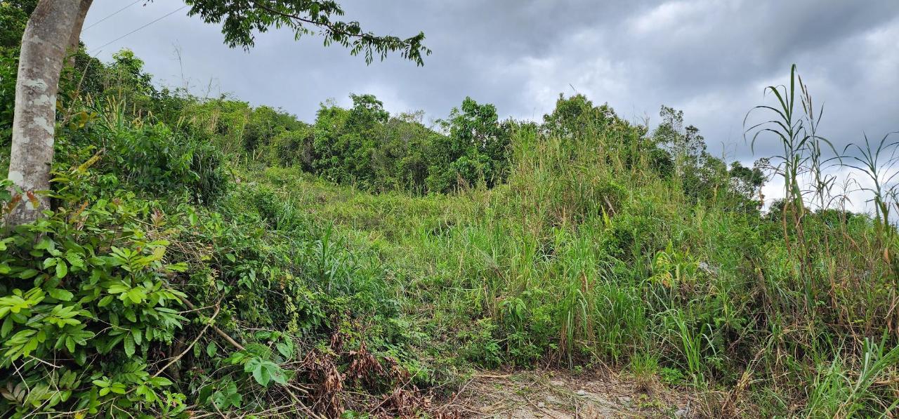 Residential-Lot-for-Sale-in-May-Day-Manchester-Jamaica Fourth image of May Day Plantation in May Day, Manchester, Jamaica - property is For Sale