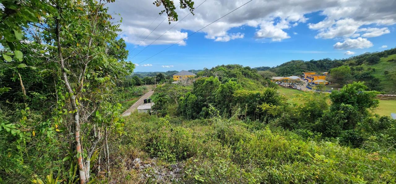 Residential-Lot-for-Sale-in-May-Day-Manchester-Jamaica Fifth image of May Day Plantation in May Day, Manchester, Jamaica - property is For Sale