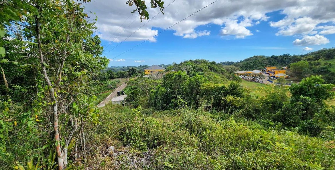 Sixth image of May Day Plantation in May Day, Manchester, Jamaica - property is For Sale