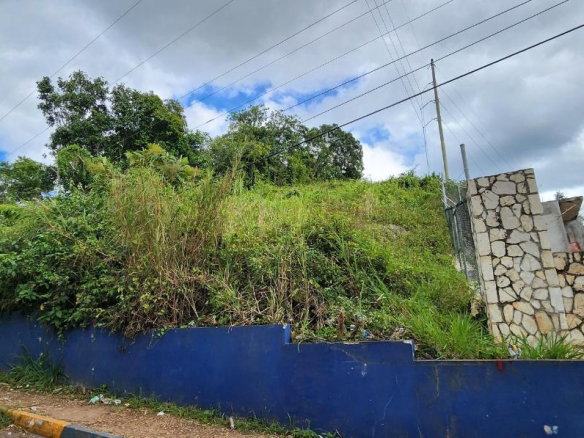 First image of May Day Plantation in May Day, Manchester, Jamaica - property is For Sale