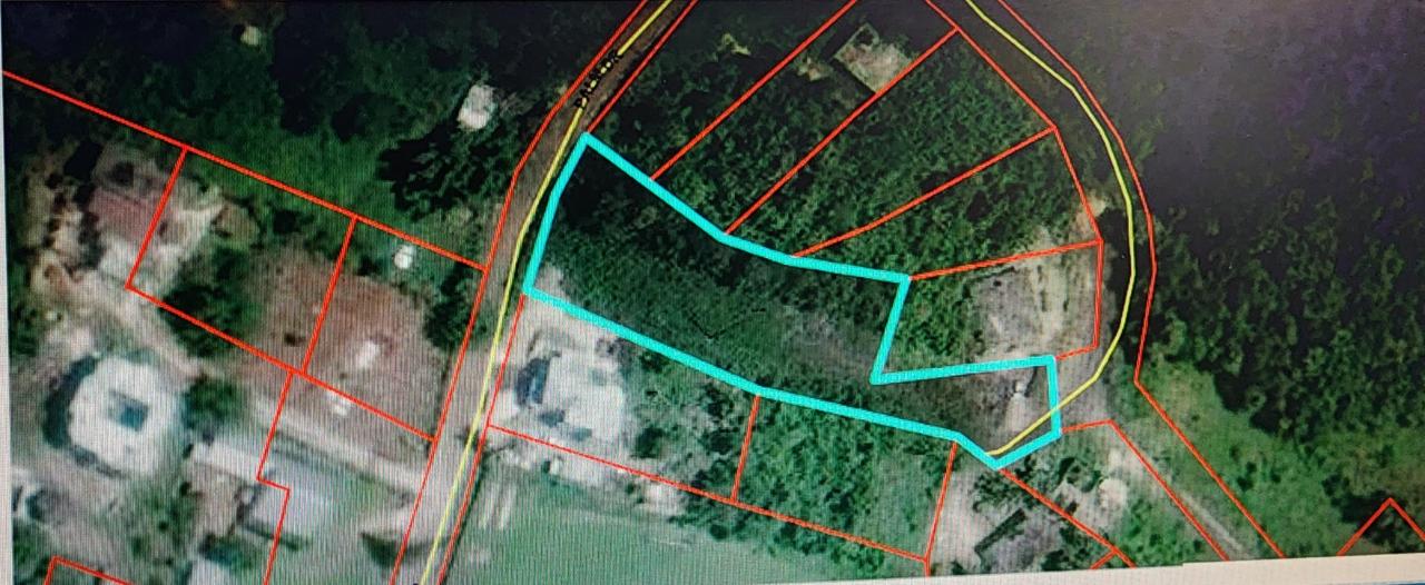 Residential-Lot-for-Sale-in-May-Day-Manchester-Jamaica Seventh image of May Day Plantation in May Day, Manchester, Jamaica - property is For Sale