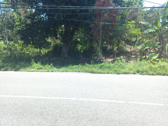 Third image of 4 Salt Spring Main Road in Salt Spring, St. James, Jamaica - property is For Sale