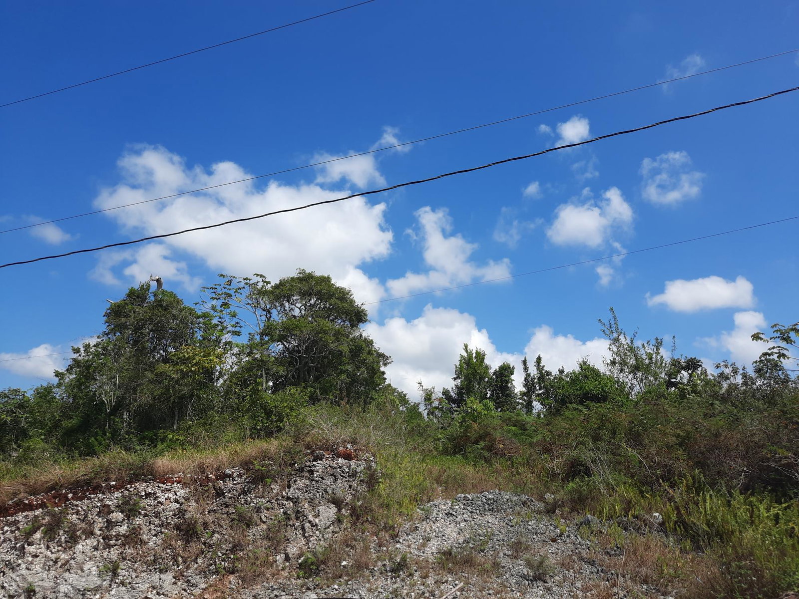 Twelfth image of 425 Moorlands Manor Phase 3 in Mandeville, Manchester, Jamaica - property is For Sale