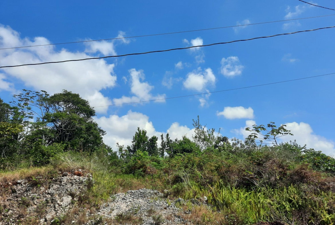 Fourth image of 425 Moorlands Manor Phase 3 in Mandeville, Manchester, Jamaica - property is For Sale