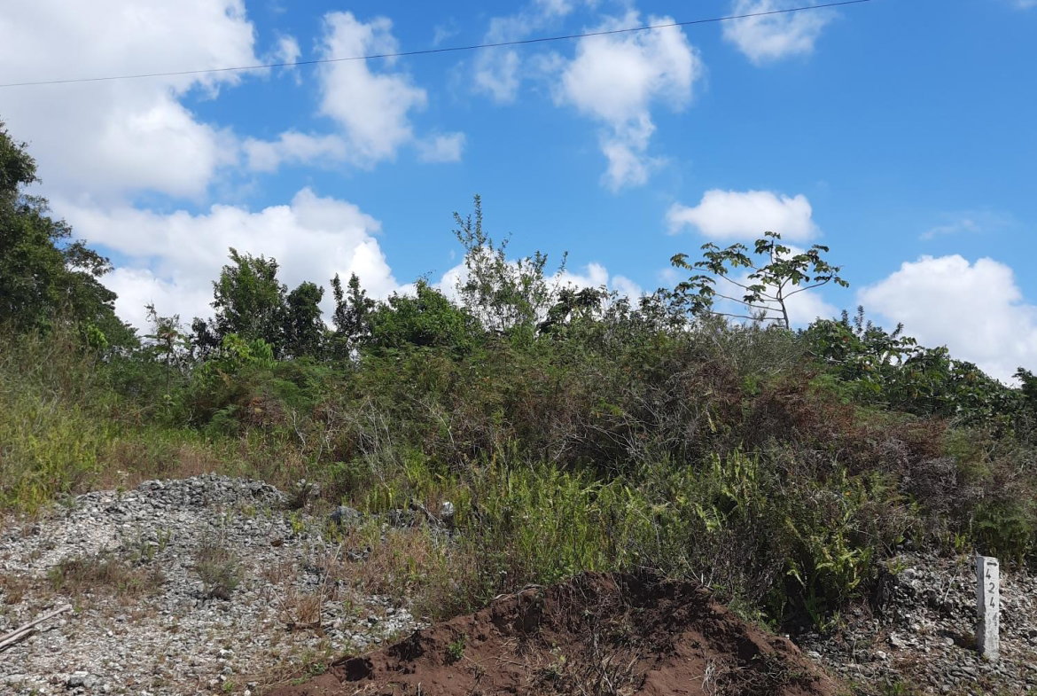 Sixth image of 425 Moorlands Manor Phase 3 in Mandeville, Manchester, Jamaica - property is For Sale