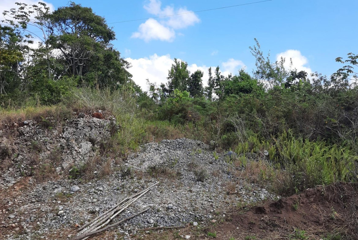 Ninth image of 425 Moorlands Manor Phase 3 in Mandeville, Manchester, Jamaica - property is For Sale