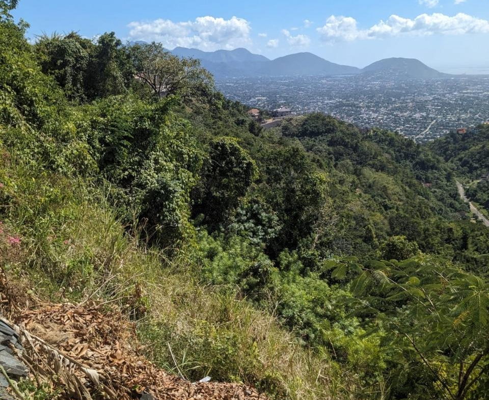 Fifth image of Mount Salus in STONY HILL, St. Andrew, Jamaica - property is For Sale