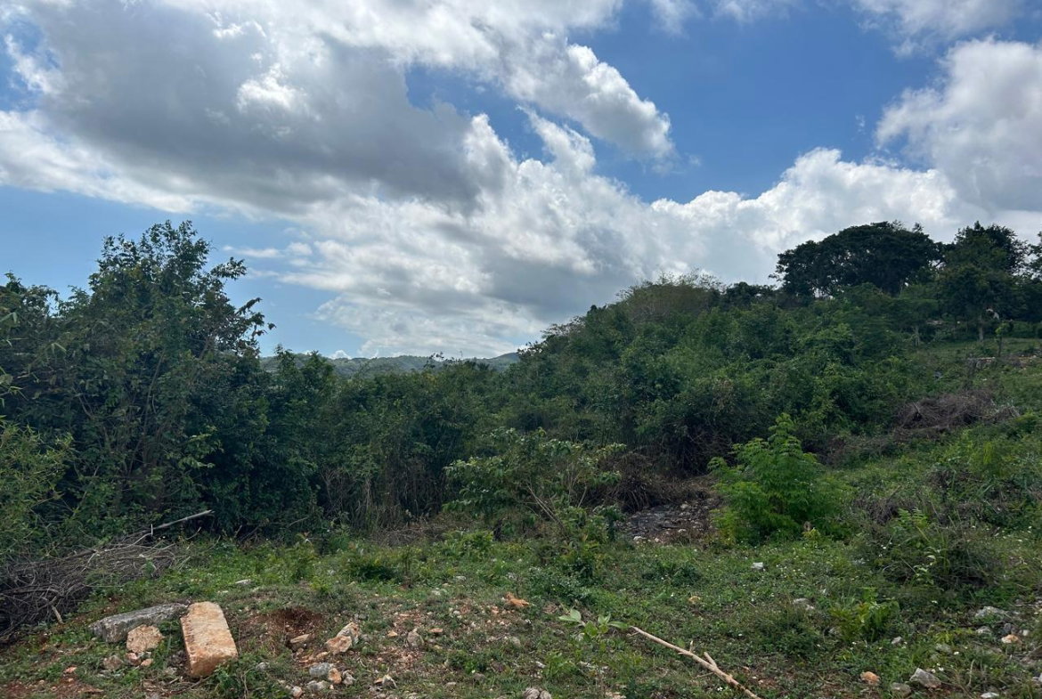 Eighth image of Mount Salus in STONY HILL, St. Andrew, Jamaica - property is For Sale