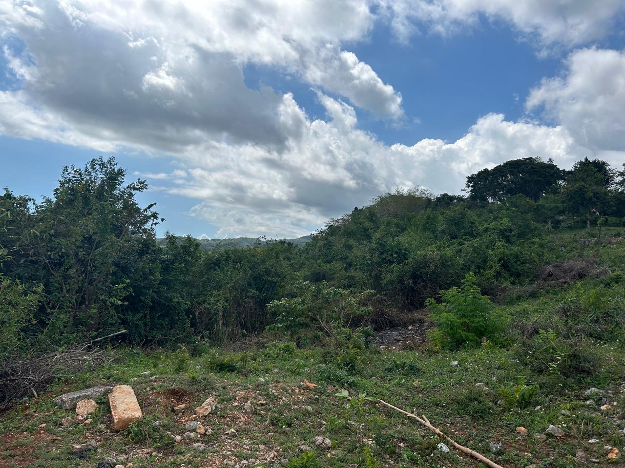 Eighth image of Mount Salus in STONY HILL, St. Andrew, Jamaica - property is For Sale
