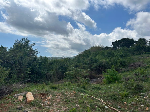 Eighth image of Mount Salus in STONY HILL, St. Andrew, Jamaica - property is For Sale