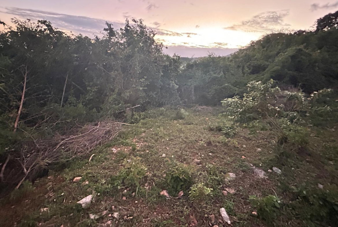 Tenth image of Mount Salus in STONY HILL, St. Andrew, Jamaica - property is For Sale