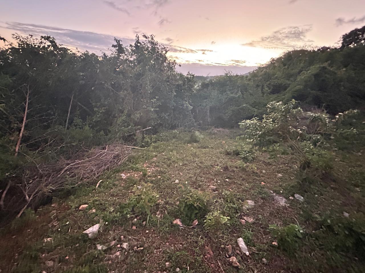 Tenth image of Mount Salus in STONY HILL, St. Andrew, Jamaica - property is For Sale