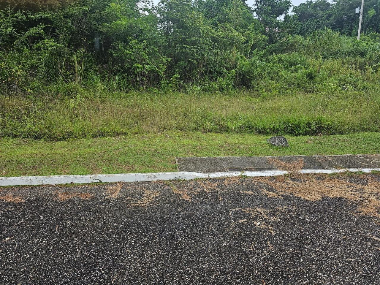 Fifth image of 53- Negril Estates in Whitehall, Westmoreland, Jamaica - property is For Sale