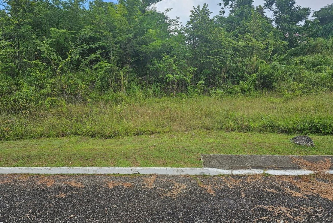 Seventh image of 53- Negril Estates in Whitehall, Westmoreland, Jamaica - property is For Sale