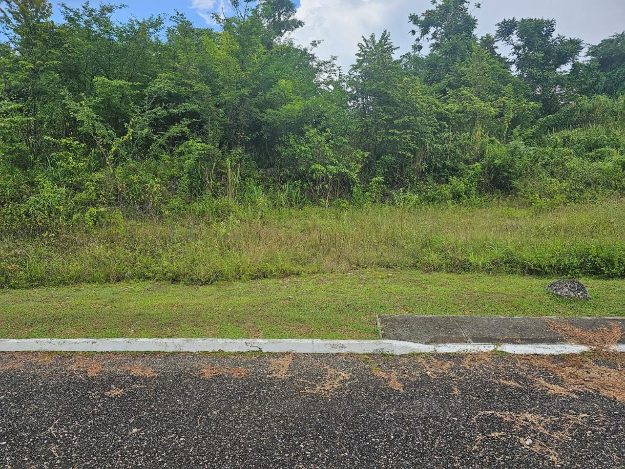 Seventh image of 53- Negril Estates in Whitehall, Westmoreland, Jamaica - property is For Sale