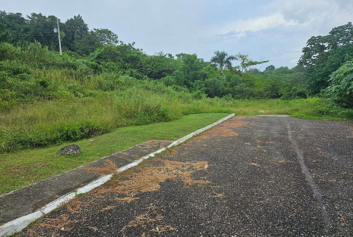 Eighth image of 53- Negril Estates in Whitehall, Westmoreland, Jamaica - property is For Sale