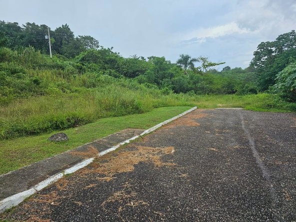 Eighth image of 53- Negril Estates in Whitehall, Westmoreland, Jamaica - property is For Sale