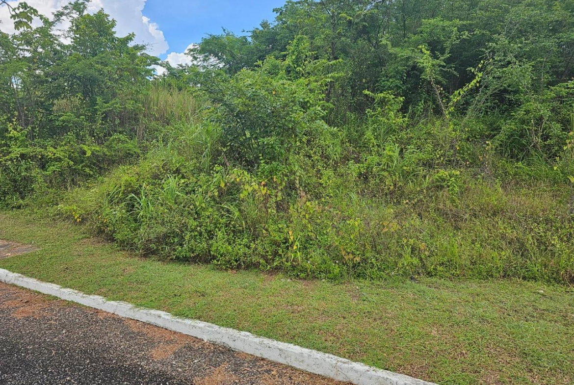 Ninth image of 53- Negril Estates in Whitehall, Westmoreland, Jamaica - property is For Sale