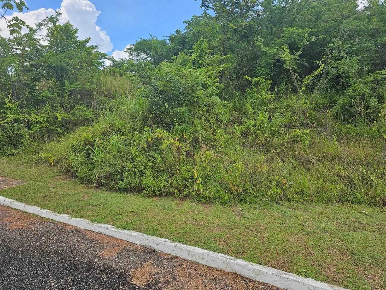 Ninth image of 53- Negril Estates in Whitehall, Westmoreland, Jamaica - property is For Sale