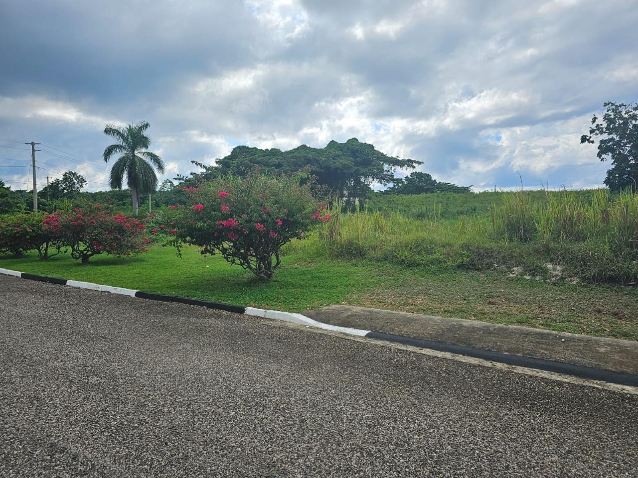 First image of 53- Negril Estates in Whitehall, Westmoreland, Jamaica - property is For Sale