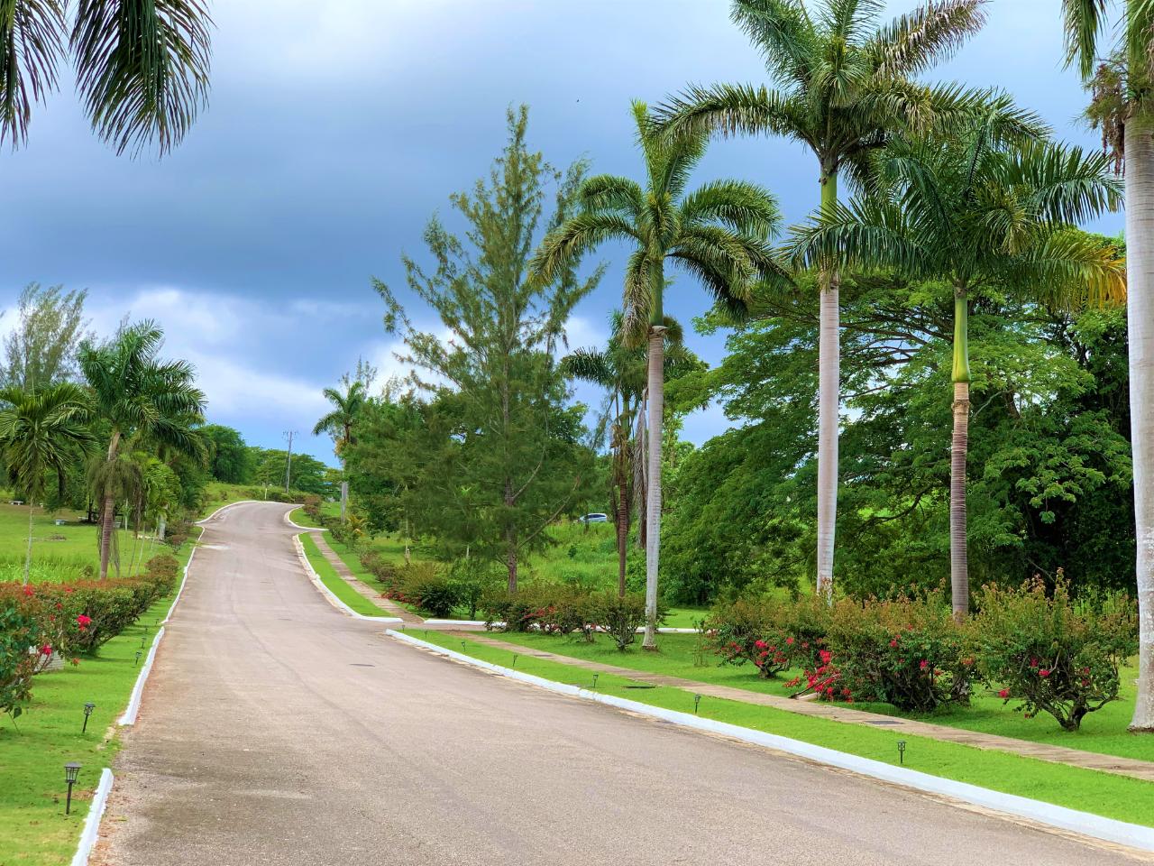 Residential-Lot-for-Sale-in-Negril-Jamaica-Build-Your-Dream-Home Sixteenth image of 65 Negril Estate in Negril, Westmoreland, Jamaica - property is For Sale