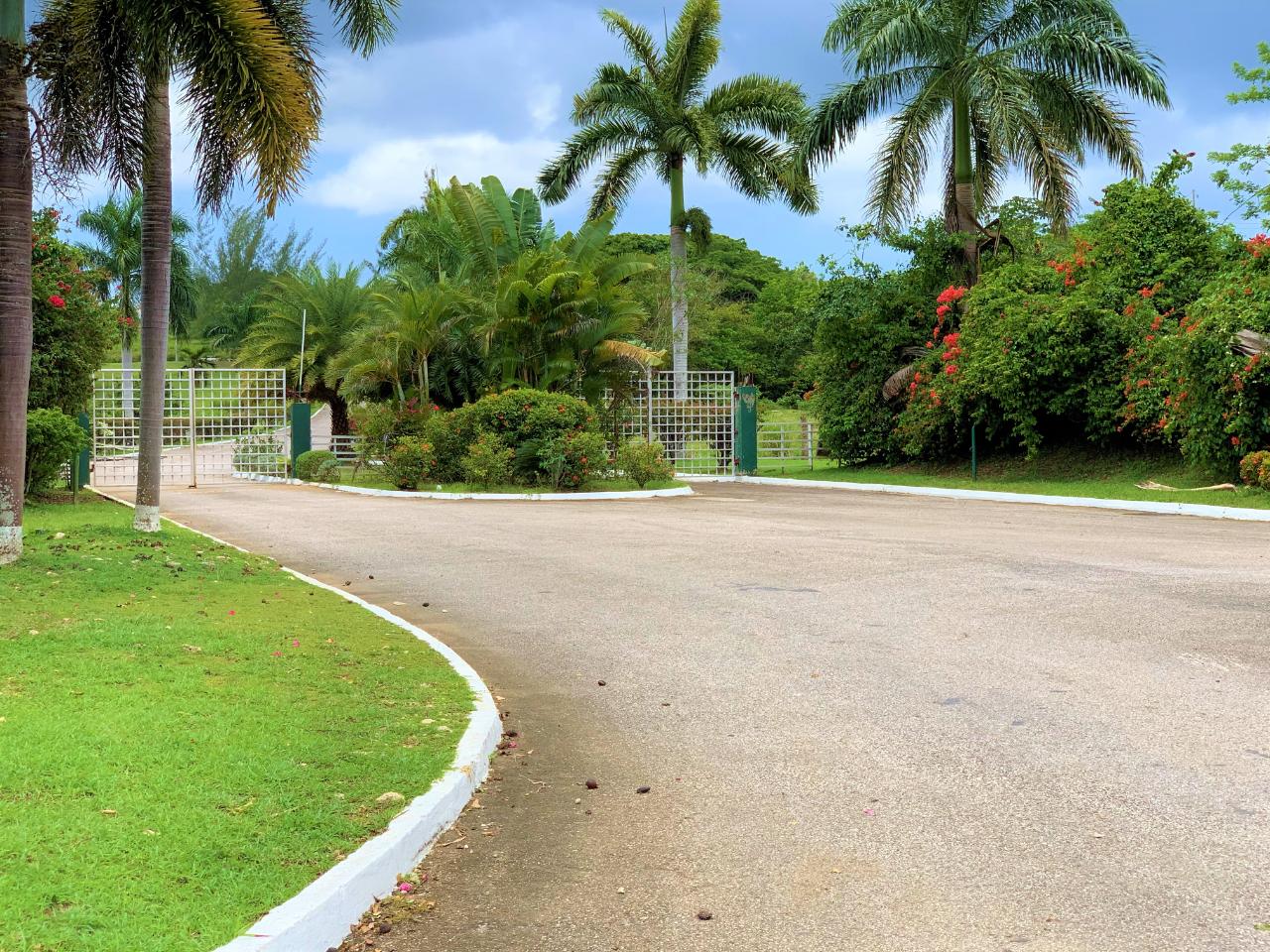 Residential-Lot-for-Sale-in-Negril-Jamaica-Build-Your-Dream-Home Seventeenth image of 65 Negril Estate in Negril, Westmoreland, Jamaica - property is For Sale