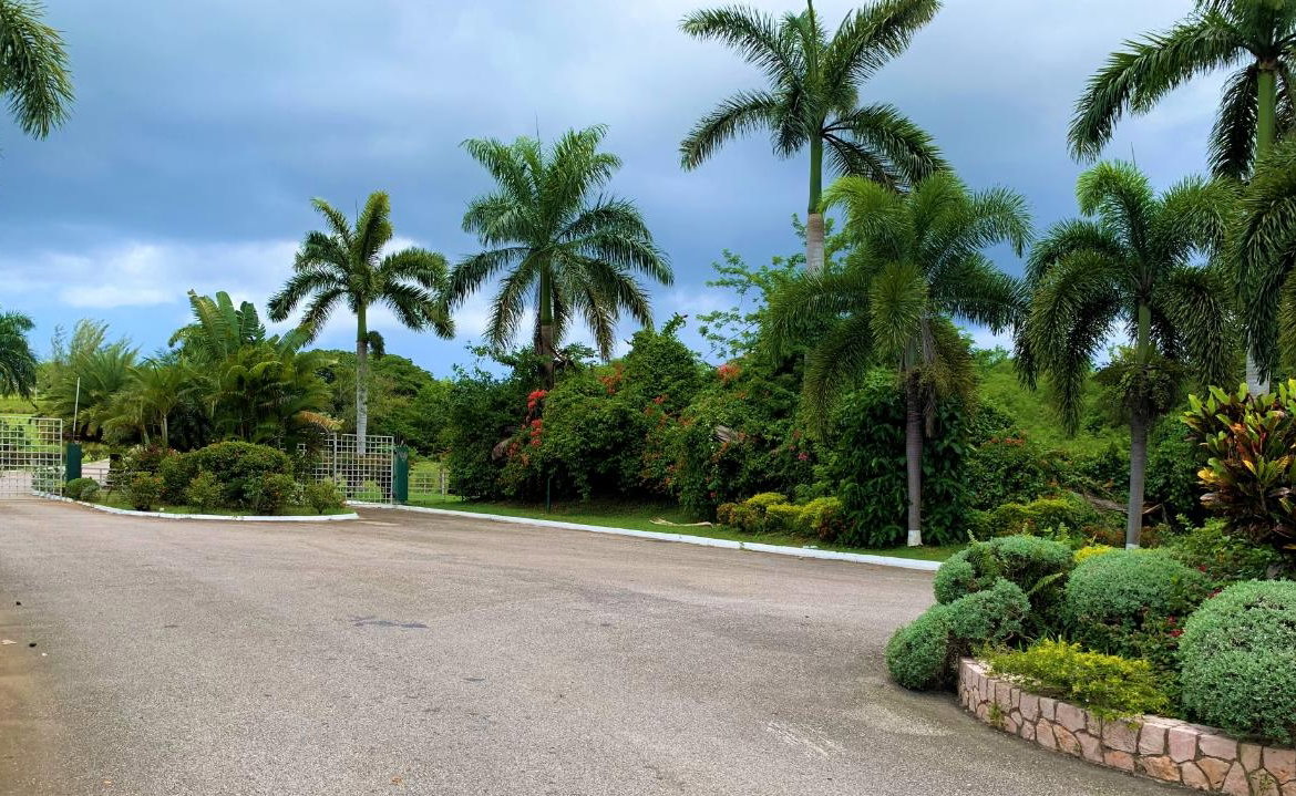 Eighteenth image of 65 Negril Estate in Negril, Westmoreland, Jamaica - property is For Sale
