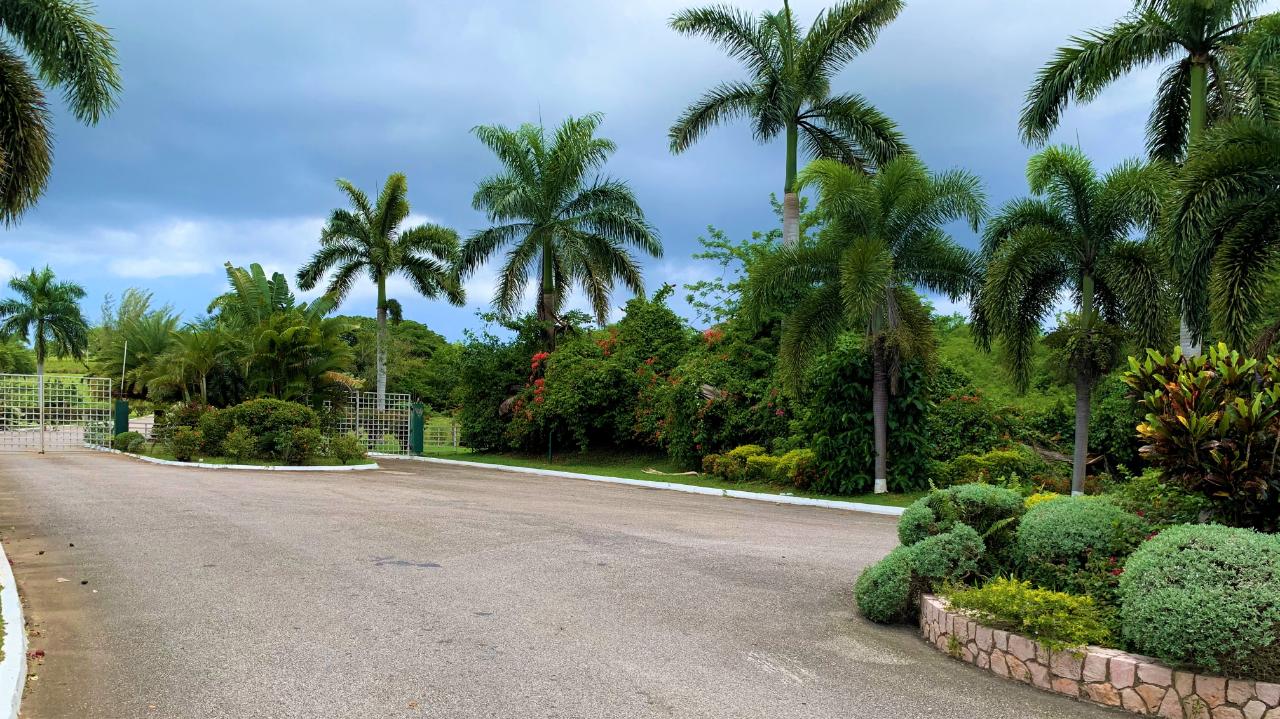 Residential-Lot-for-Sale-in-Negril-Jamaica-Build-Your-Dream-Home Eighteenth image of 65 Negril Estate in Negril, Westmoreland, Jamaica - property is For Sale
