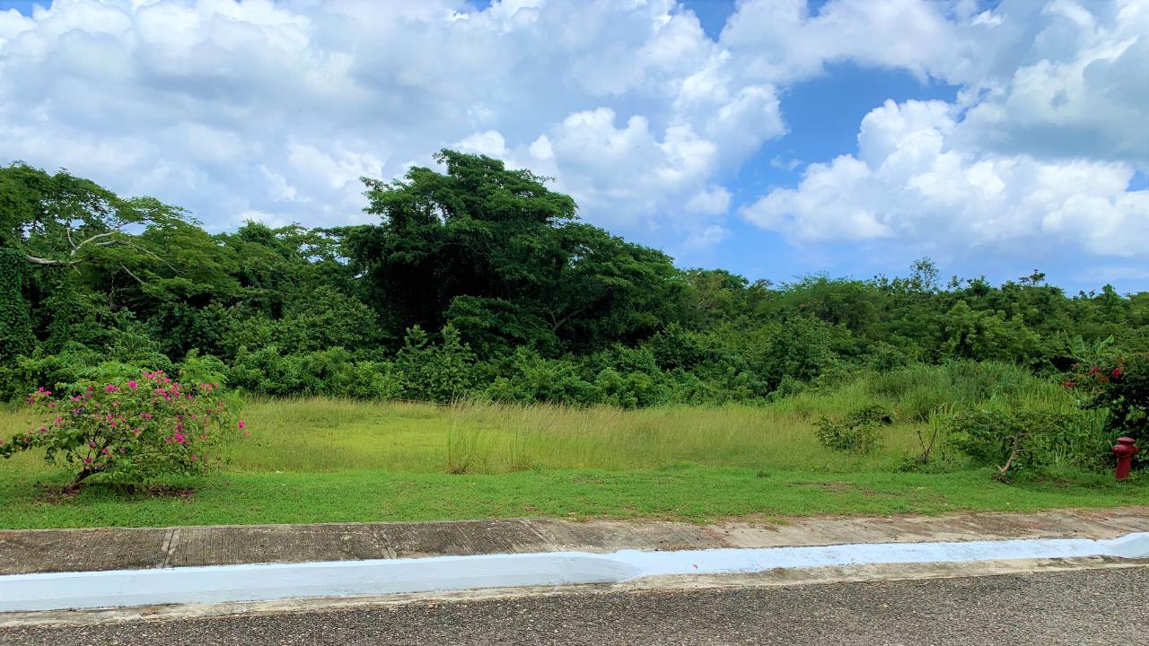 Residential-Lot-for-Sale-in-Negril-Jamaica-Build-Your-Dream-Home Sixth image of 65 Negril Estate in Negril, Westmoreland, Jamaica - property is For Sale
