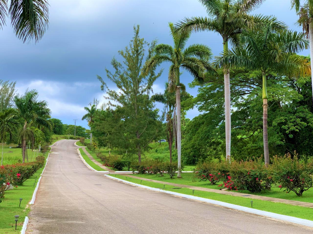 Residential-Lot-for-Sale-in-Negril-Jamaica-Build-Your-Dream-Home Eighth image of 65 Negril Estate in Negril, Westmoreland, Jamaica - property is For Sale