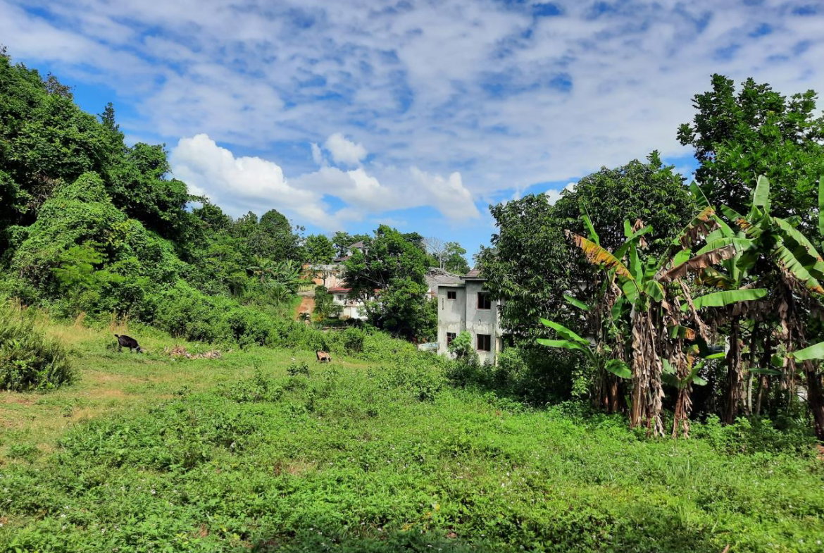 First image of New Green in Mandeville, Manchester, Jamaica - property is For Sale