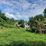 First image of New Green in Mandeville, Manchester, Jamaica - property is For Sale