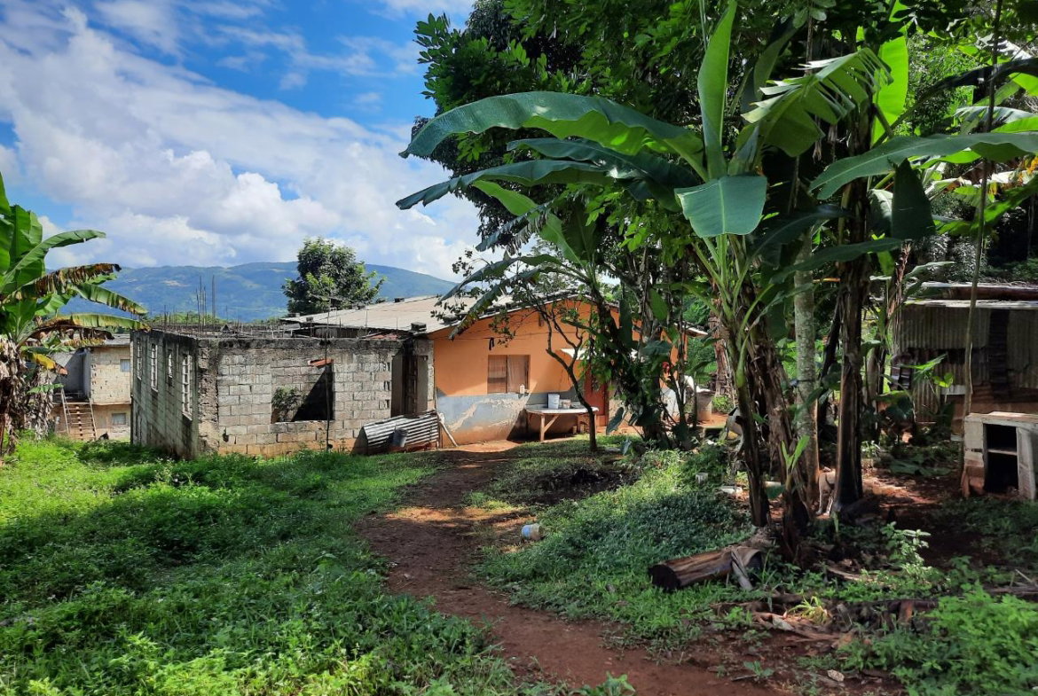 Fourth image of New Green in Mandeville, Manchester, Jamaica - property is For Sale