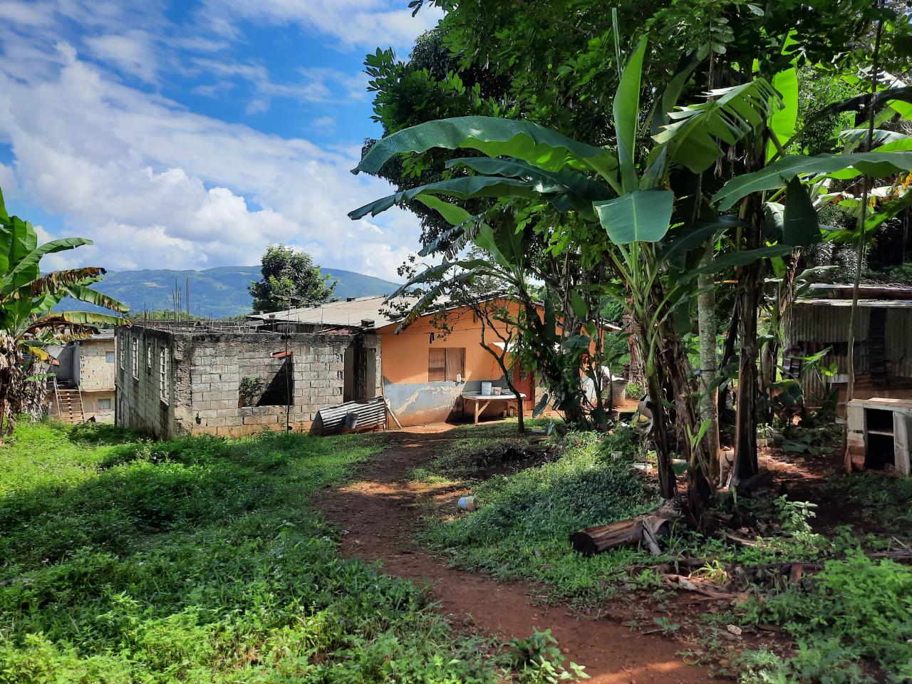 Fourth image of New Green in Mandeville, Manchester, Jamaica - property is For Sale