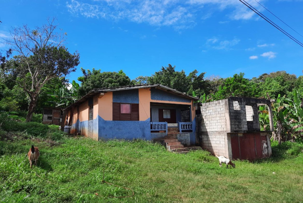 Fifth image of New Green in Mandeville, Manchester, Jamaica - property is For Sale