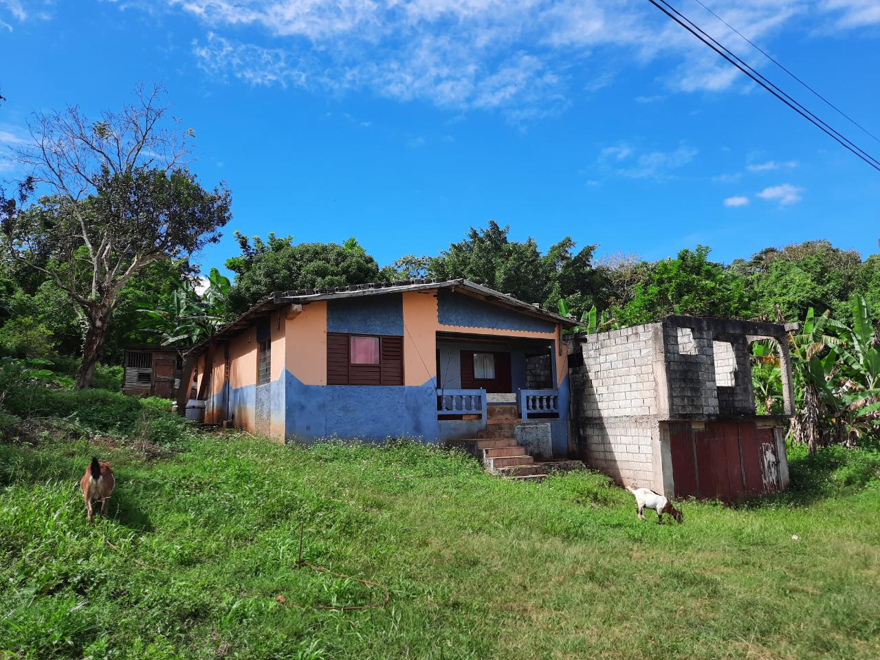 Fifth image of New Green in Mandeville, Manchester, Jamaica - property is For Sale