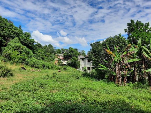 First image of New Green in Mandeville, Manchester, Jamaica - property is For Sale