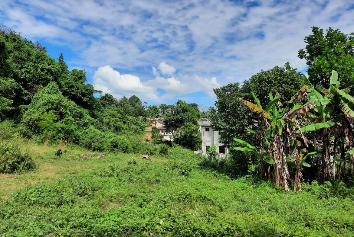 Ninth image of New Green in Mandeville, Manchester, Jamaica - property is For Sale