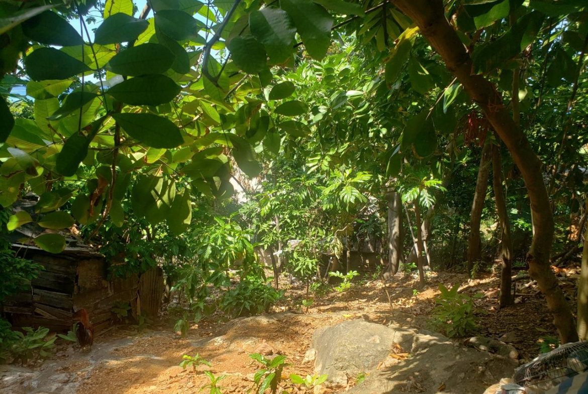 Second image of Northern Estate in Lilliput, St. James, Jamaica - property is For Sale