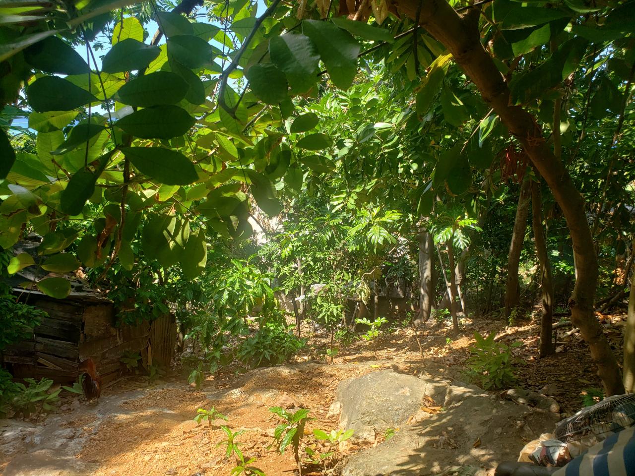 Second image of Northern Estate in Lilliput, St. James, Jamaica - property is For Sale