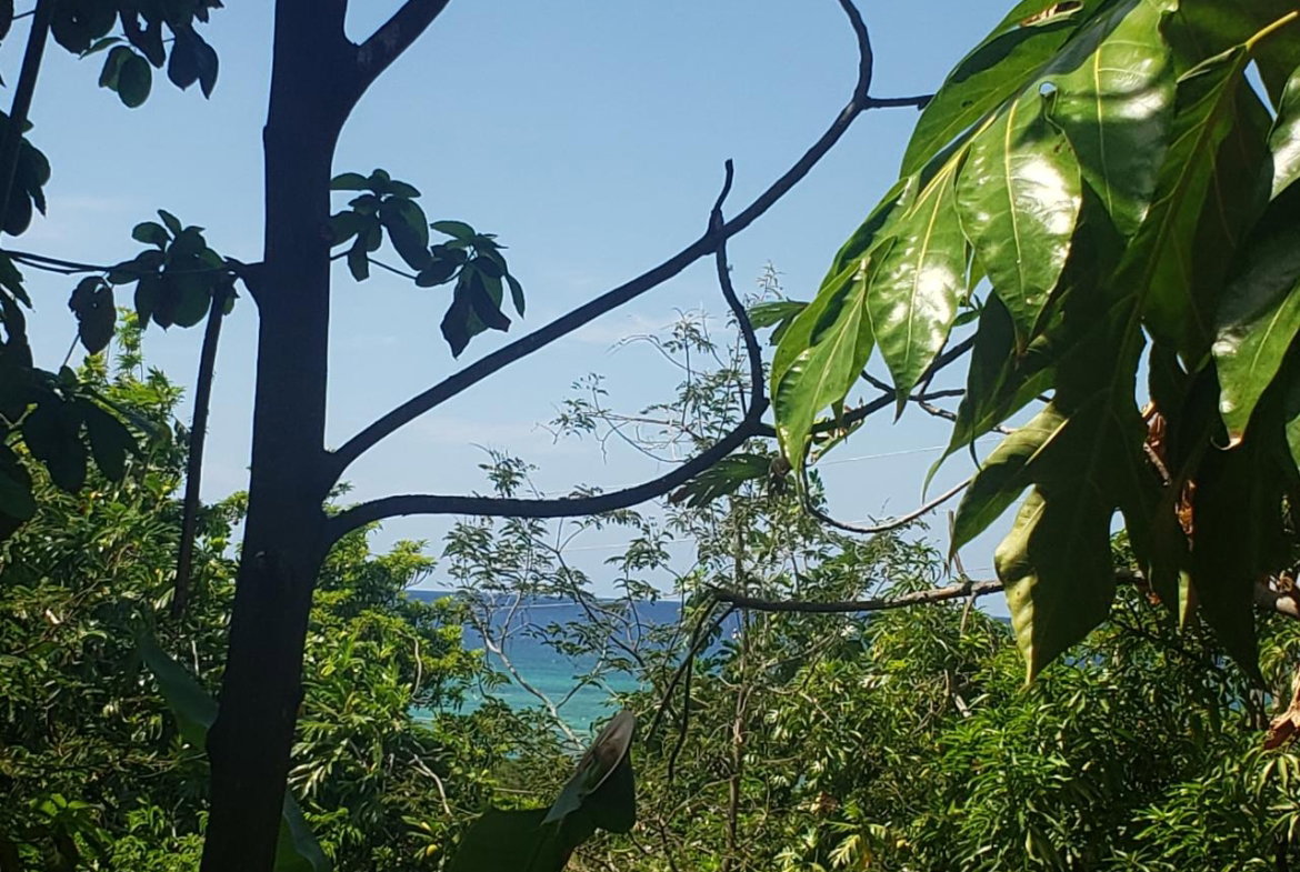 First image of Northern Estate in Lilliput, St. James, Jamaica - property is For Sale