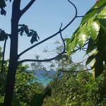 First image of Northern Estate in Lilliput, St. James, Jamaica - property is For Sale